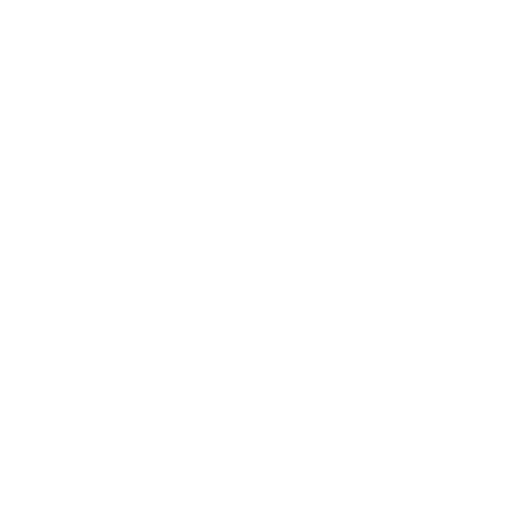 Brandy Van Riessen Portfolio